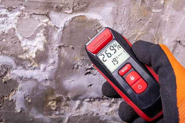 Best Emergency Mold Removal  in Ridge Manor, FL