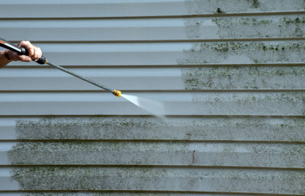 Best Fast Mold Removal  in Ridge Manor, FL
