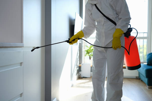 Best Best Mold Removal Companies  in Ridge Manor, FL