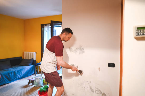 Best Mold Removal Company Near Me  in Ridge Manor, FL