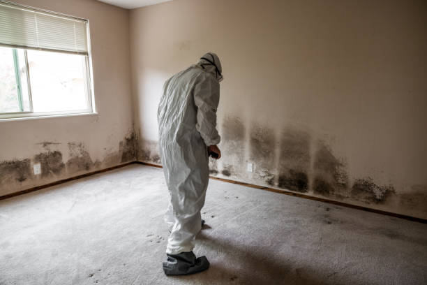 Best Mold Testing  in Ridge Manor, FL